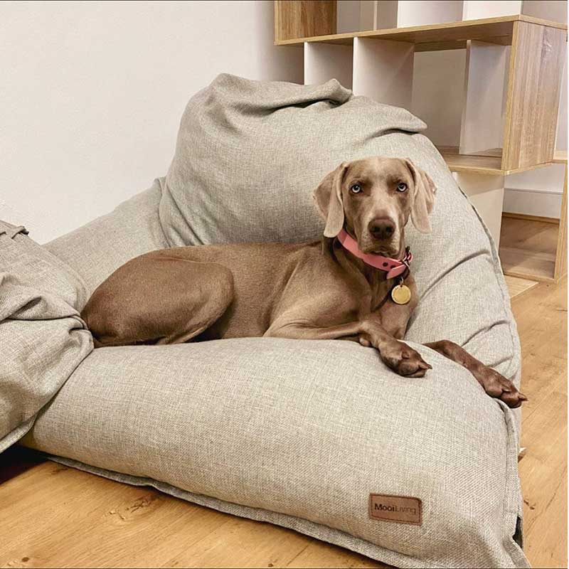 Customer Pic - Large Komfort Triangle