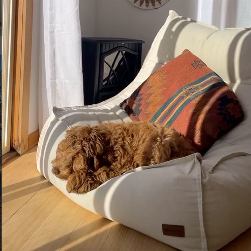 Brown dog lying on a Natural Single Boss Bean Bag by Mooi Living in a customer photo by @tuckerthecobber.